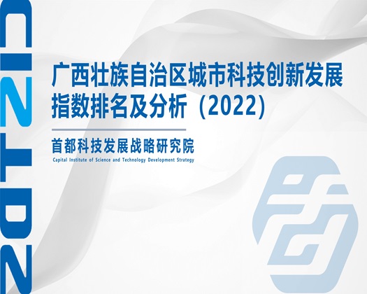 大鸡巴操大美女视频【成果发布】广西壮族自治区城市科技创新发展指数排名及分析（2022）